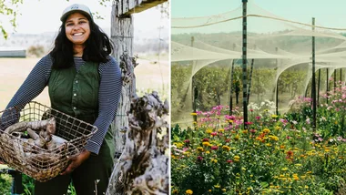 What is cosmic farming? I discovered the benefits of gardening by the moon