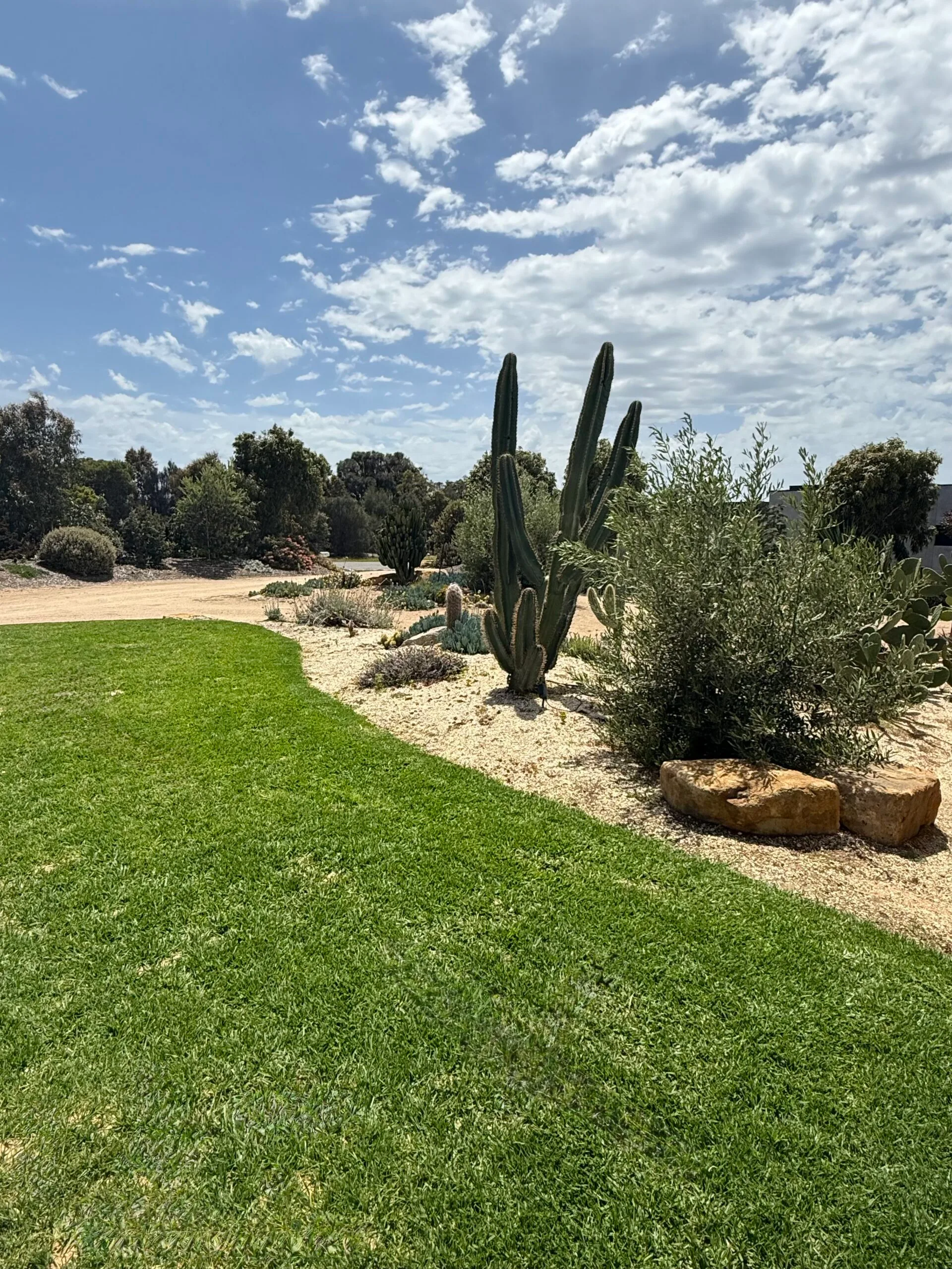 nicky buckley's lawn