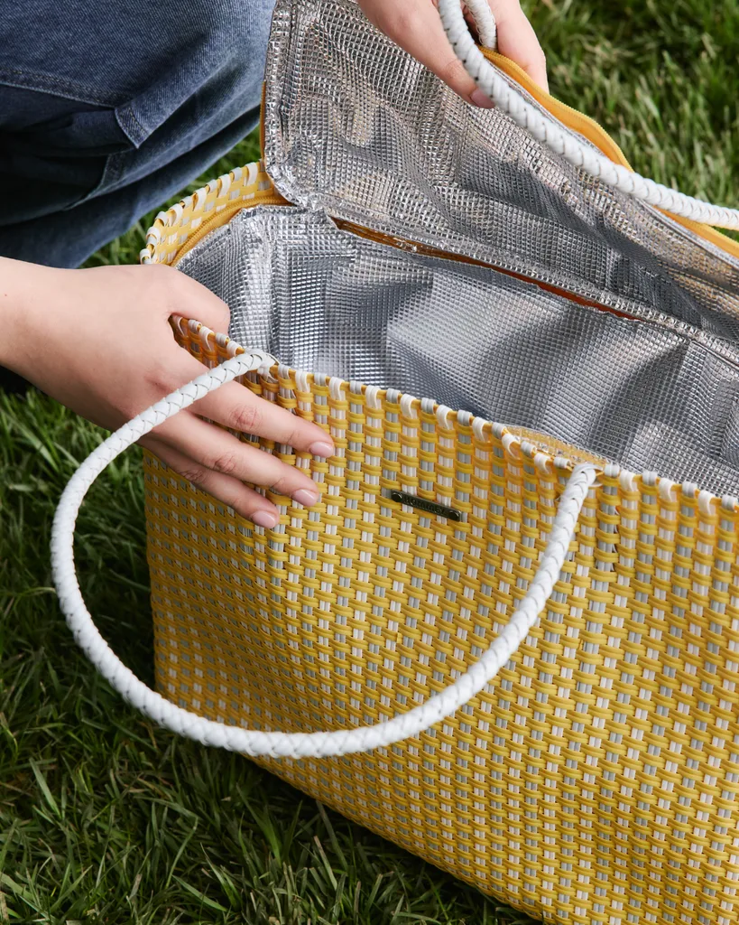 Insulated Picnic Bag + Hommey Tote + New