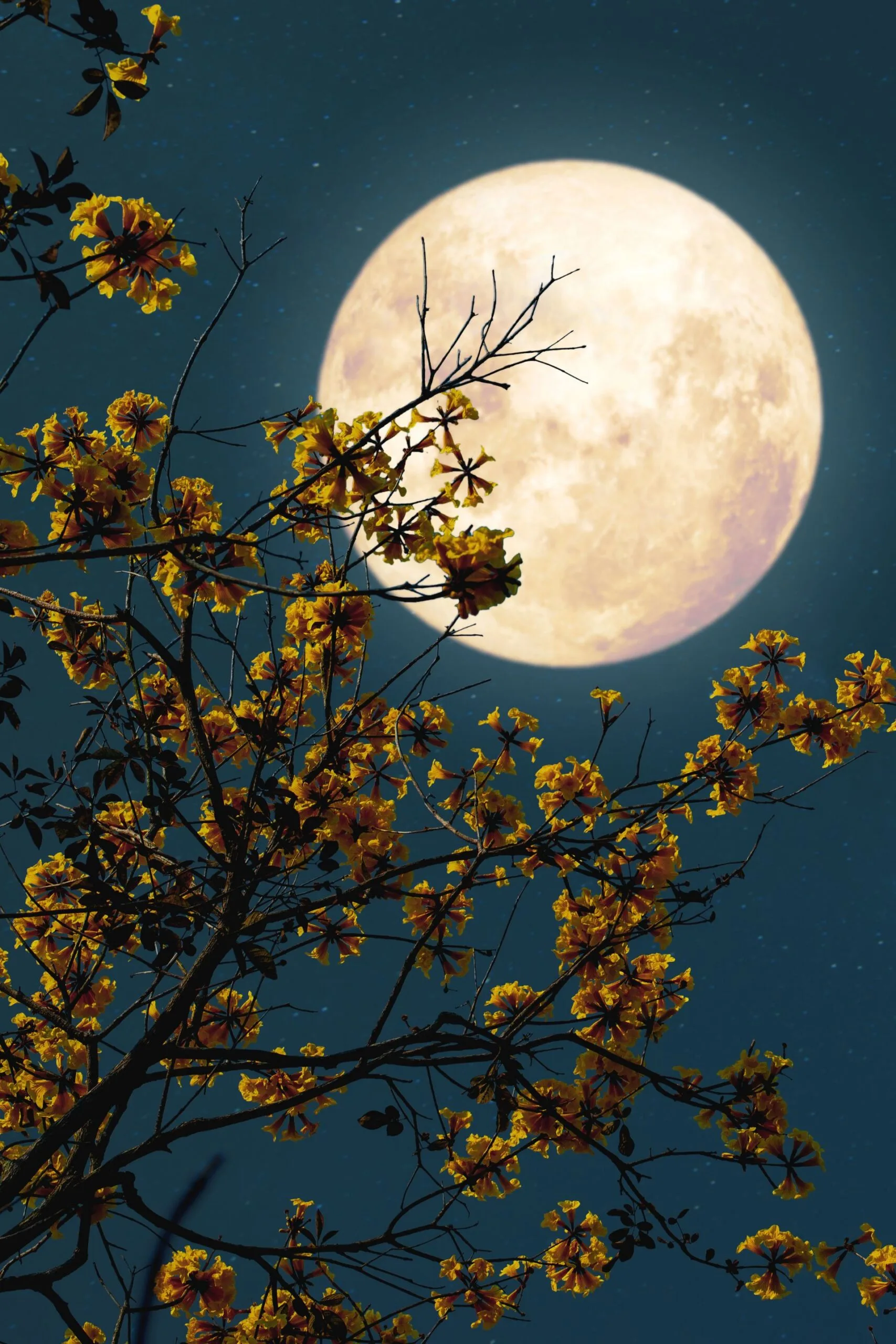 moon gardening