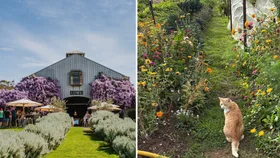 This award-winning winery has a food forest – here’s what I discovered