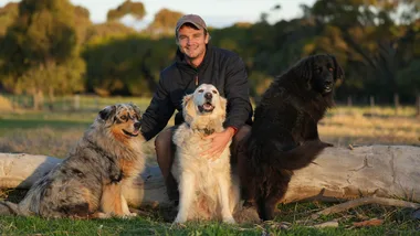 Ask Dr Will a question about your pet