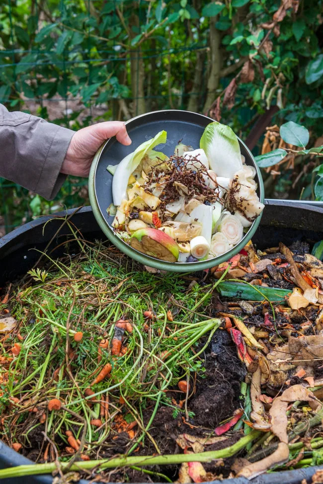 compost pile