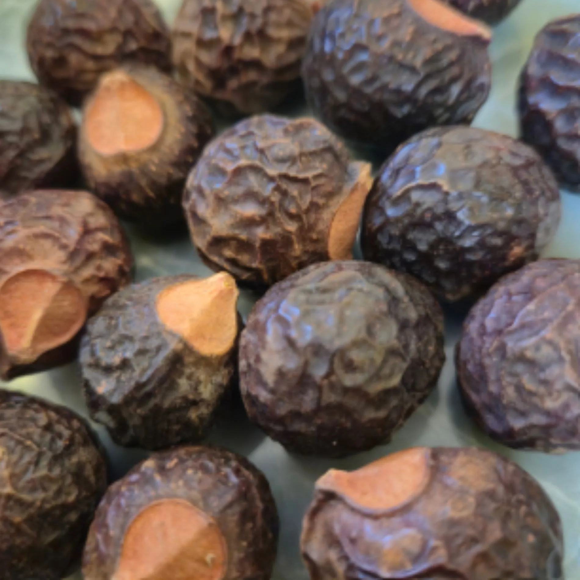 dried soap nuts