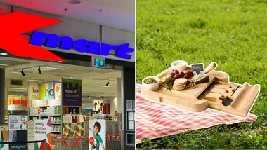 $25 Kmart buy solves a common picnic problem