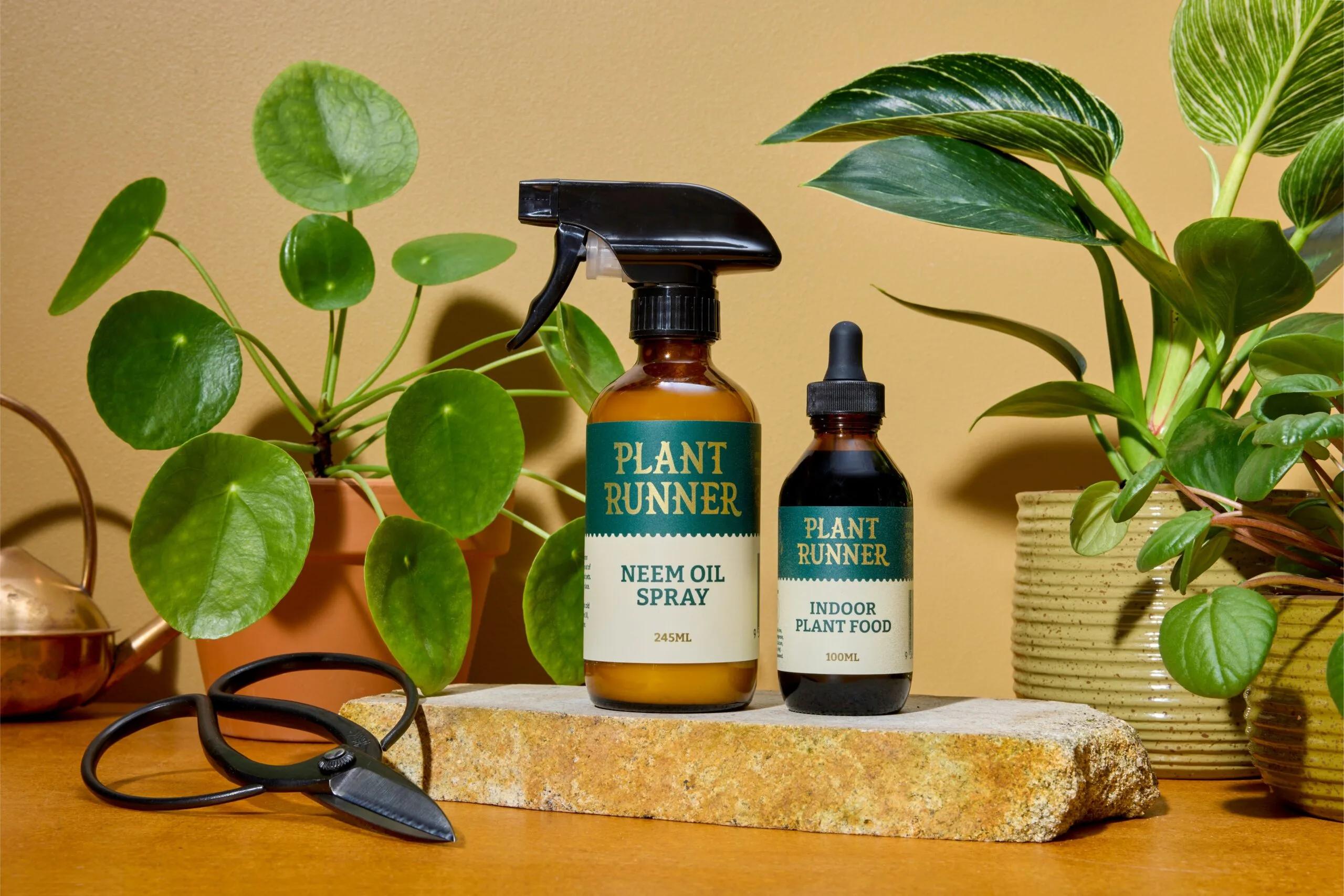 the plant runner