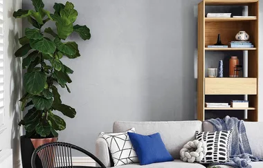 Top tips for painting interior walls