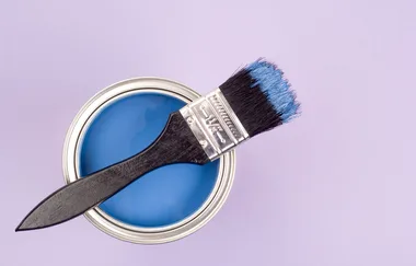 What paint where?