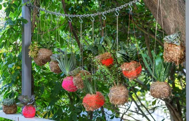 How to make a kokedama