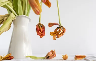How to revive wilting flowers