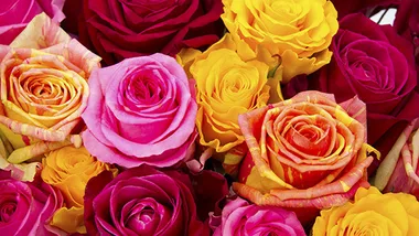 9 tips for buying fresh flowers