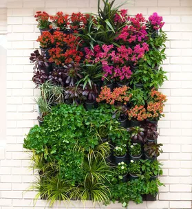Quirky vertical gardens