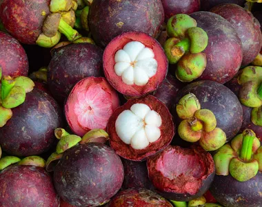 A taste of the tropics