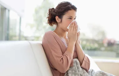 3 common household allergy triggers