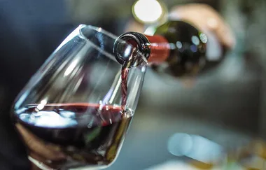 Wine tasting engages your brain more than any other behaviour, says neuroscientist