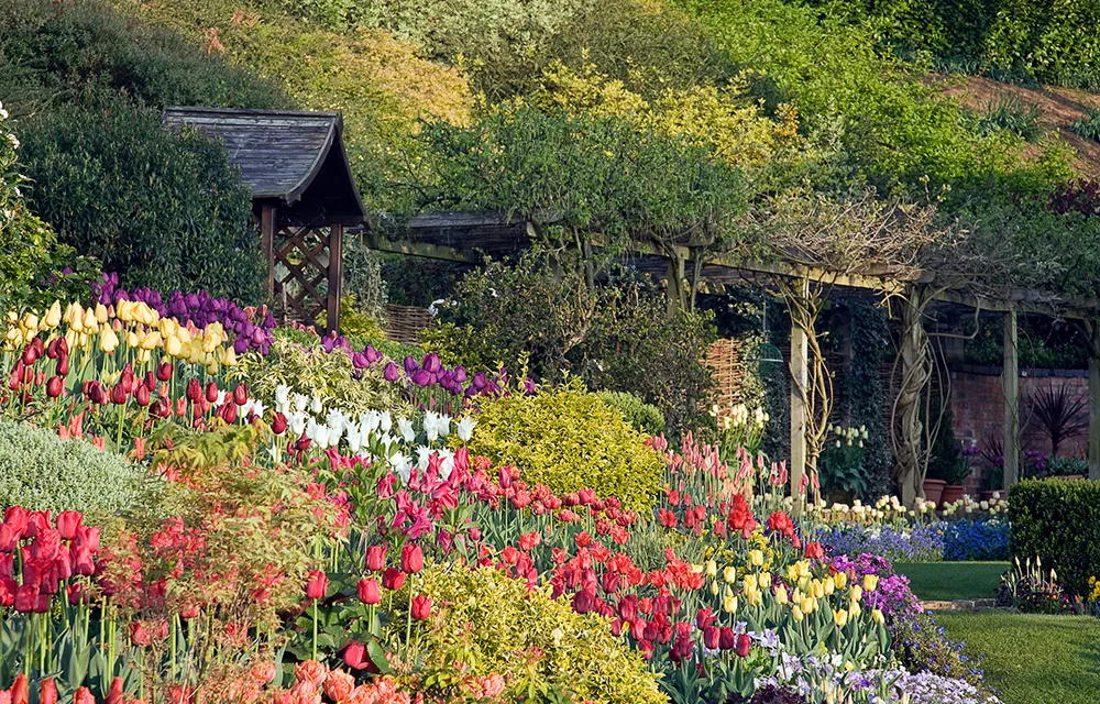 How to plan your spring garden