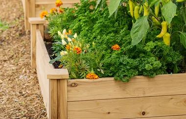 Raised vegie beds