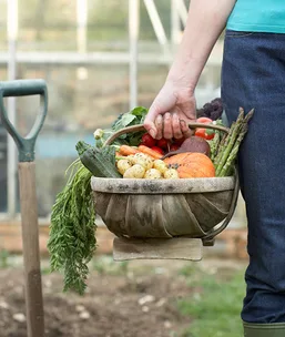 The 15 minute veggie patch