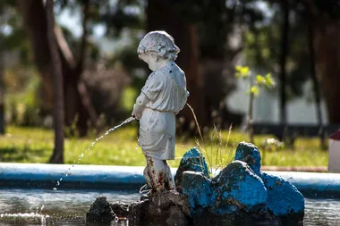 Is it okay to pee on the garden?