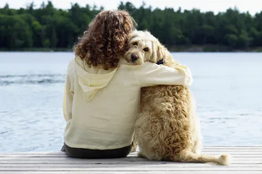 Things you do that your dog actually hates