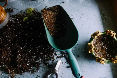 The secret to a successful low-maintenance garden