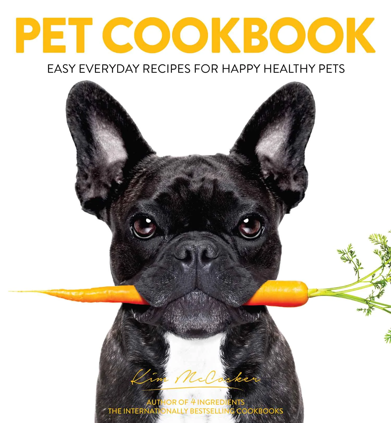cat food recipe