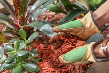5 ways to get your garden ready for spring