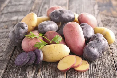 What potato are you?