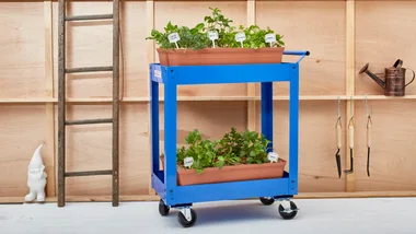 DIY portable herb garden
