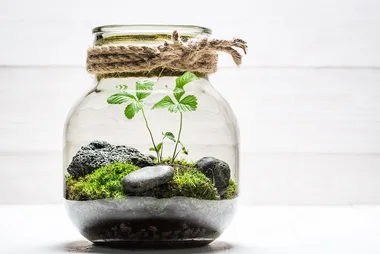 5 ways to upcycle glass jars