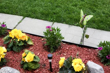 All about mulch