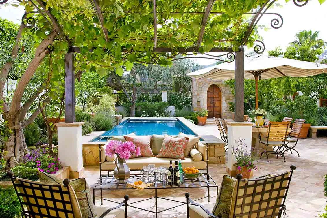 5 climbing plants perfect for your pergola
