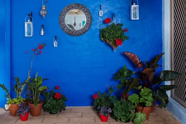 wall