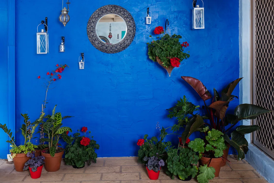 wall