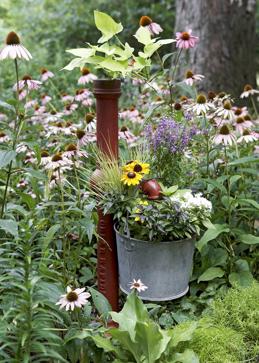 garden