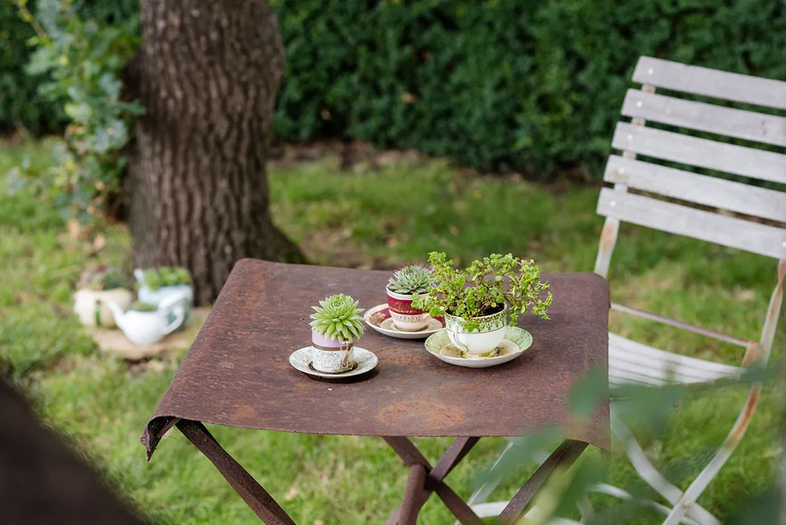 garden