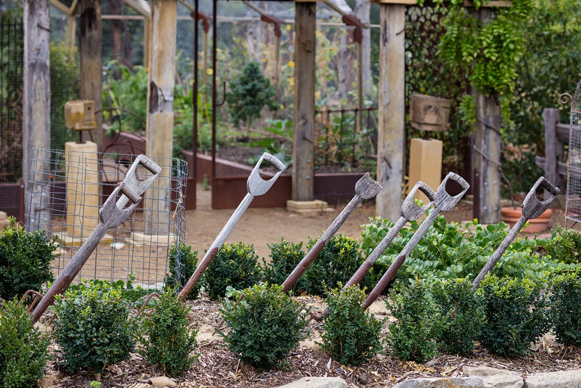 garden