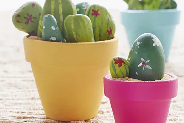5 ways with terracotta pots