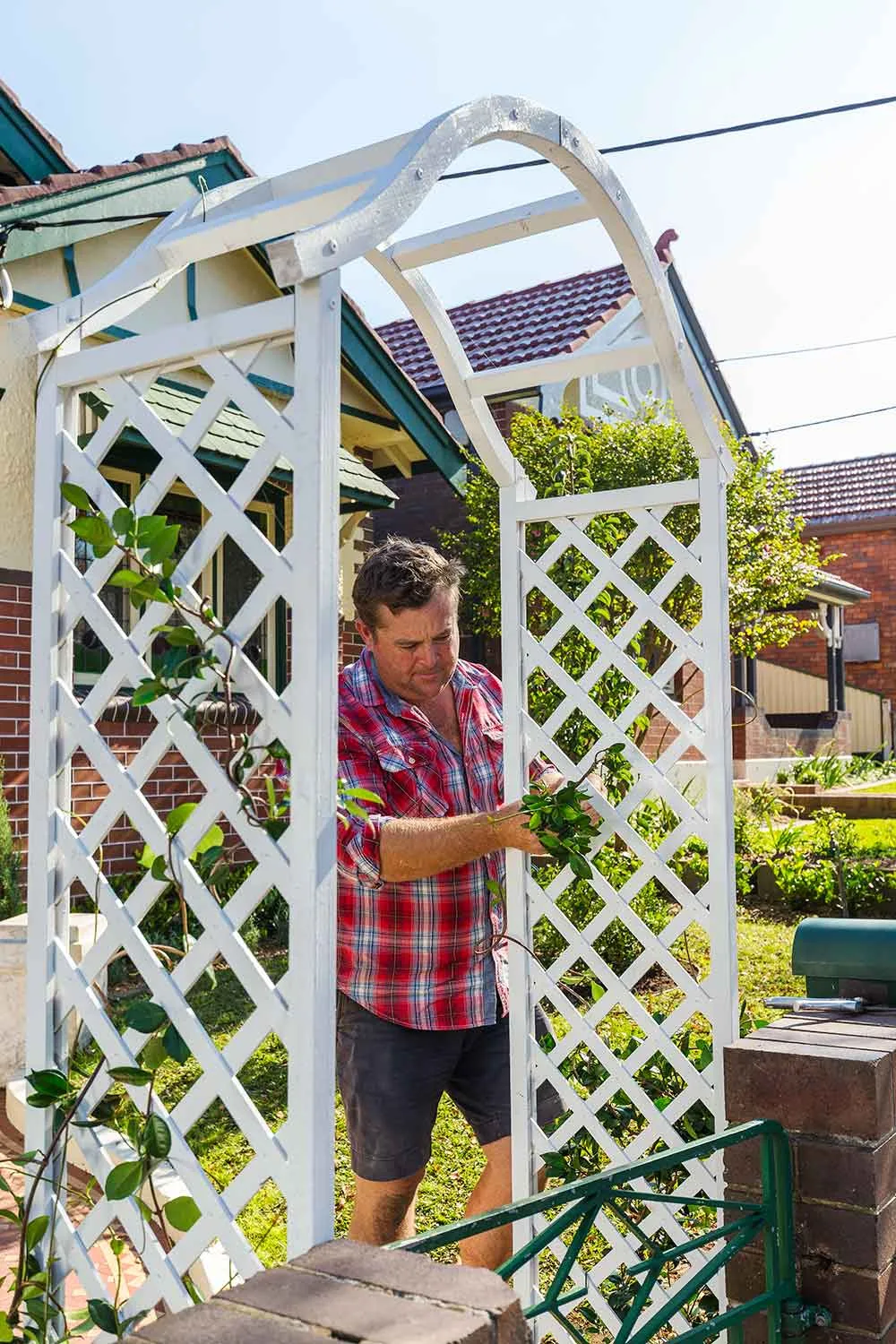 garden makeover