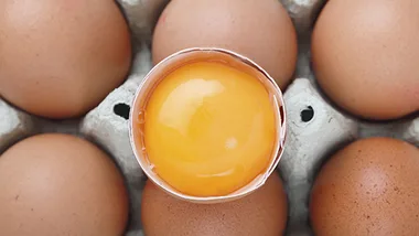 Are you an eggspert?