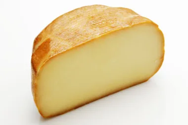 Cheese overview: 10 different varieties
