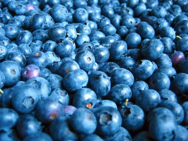 How to grow and care for blueberries at home