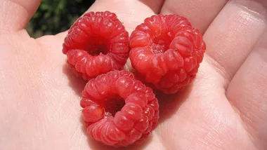 Healthy snacks that keep you full