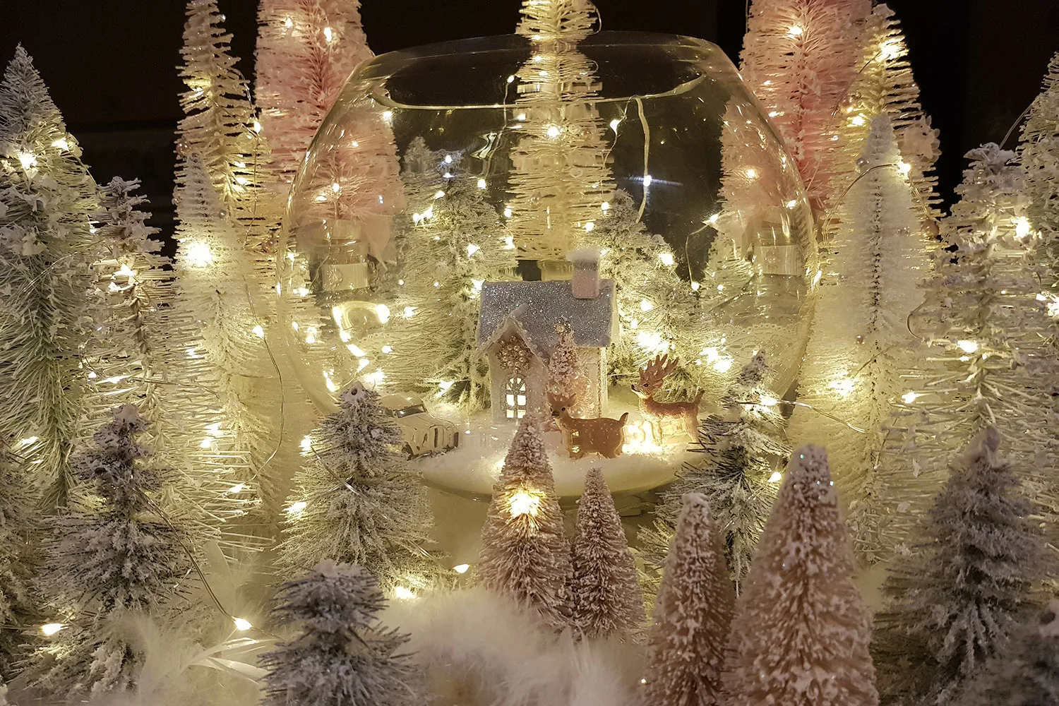 Winter wonderland