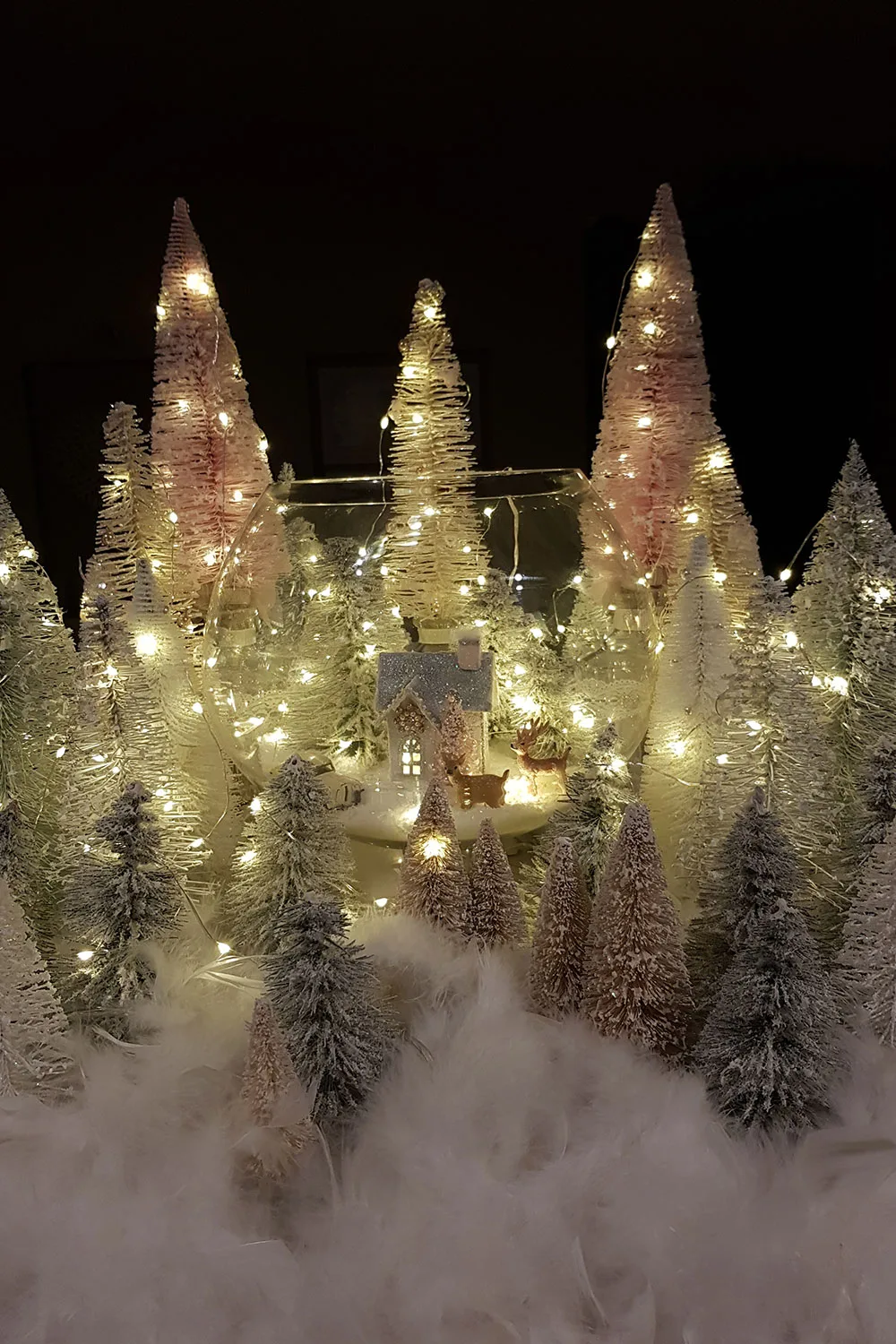 Winter wonderland