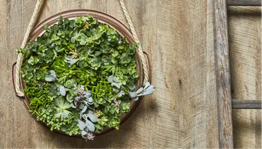 Round hanging garden DIY