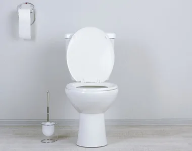How to unclog a toilet without a plunger