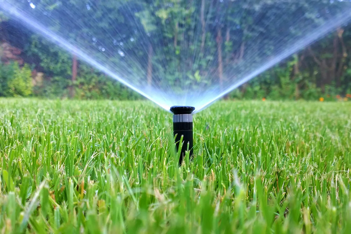 irrigation
