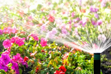 How to irrigate your garden beds