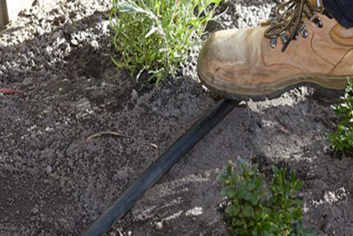 irrigation